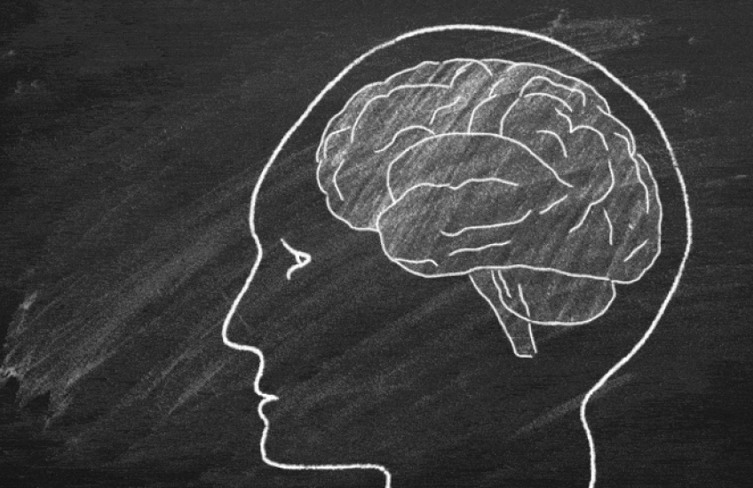 Chalk drawing on a blackboard of a person’s head in profile with a detailed outline of the brain inside.