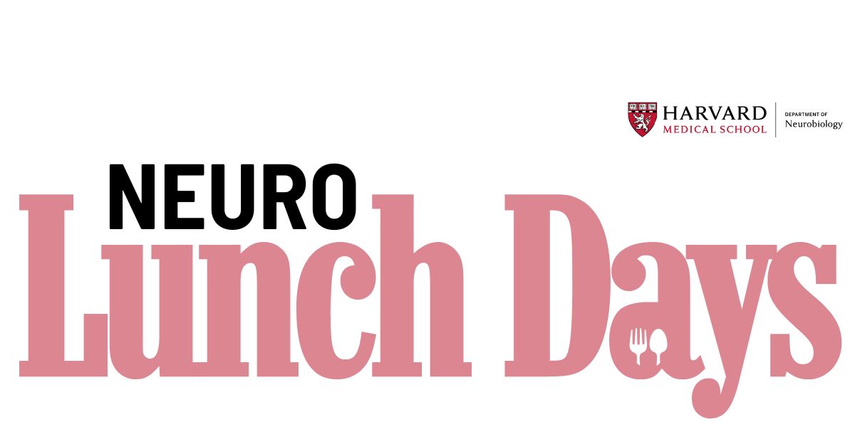 pink letters that say "Neuro Lunch Days" with a spoon and fork in the "a" and the department logo in the top right