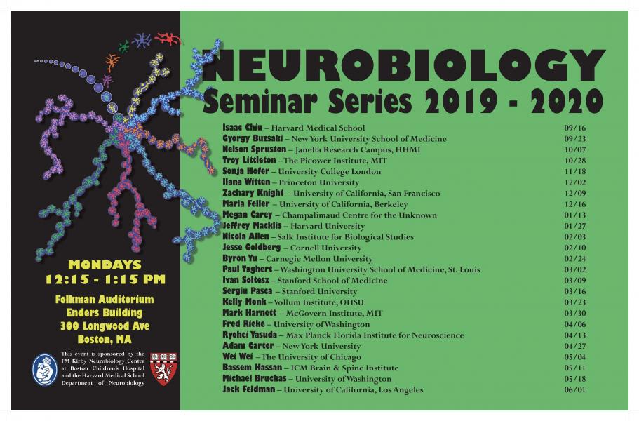 Neuroscience Seminar Series Poster